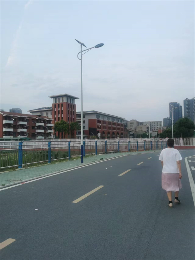 鄉(xiāng)村道路路燈桿